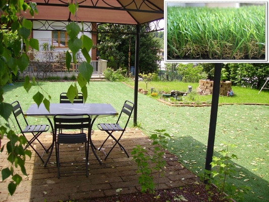 Herbe artificielle de tapis décoratif 35mm, herbe 11600Dtex synthétique pour le jardin DEQZT3512DF1